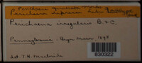 Image Associated With the Occurence